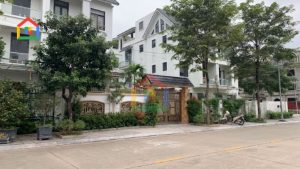 Biệt thự khu D geleximco Lê Trọng tấn